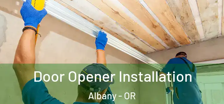 Door Opener Installation Albany - OR