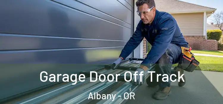  Garage Door Off Track Albany - OR