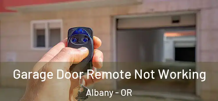  Garage Door Remote Not Working Albany - OR