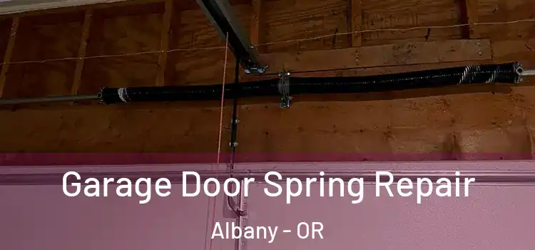  Garage Door Spring Repair Albany - OR