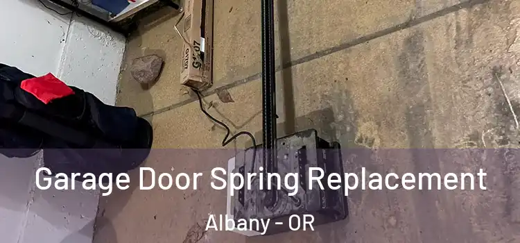  Garage Door Spring Replacement Albany - OR