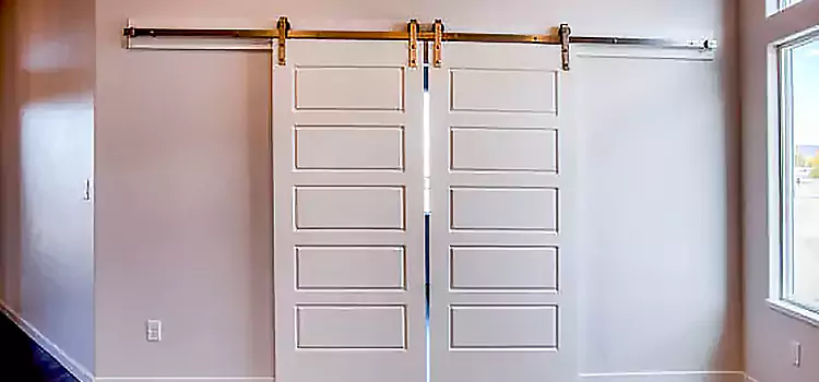 Glass Barn Door with Installation Hardware Kit Albany