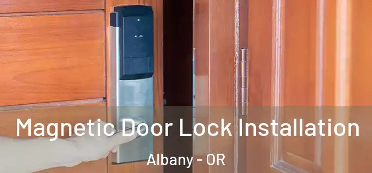  Magnetic Door Lock Installation Albany - OR