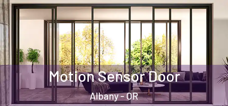  Motion Sensor Door Albany - OR