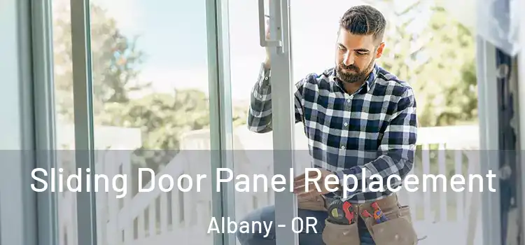  Sliding Door Panel Replacement Albany - OR